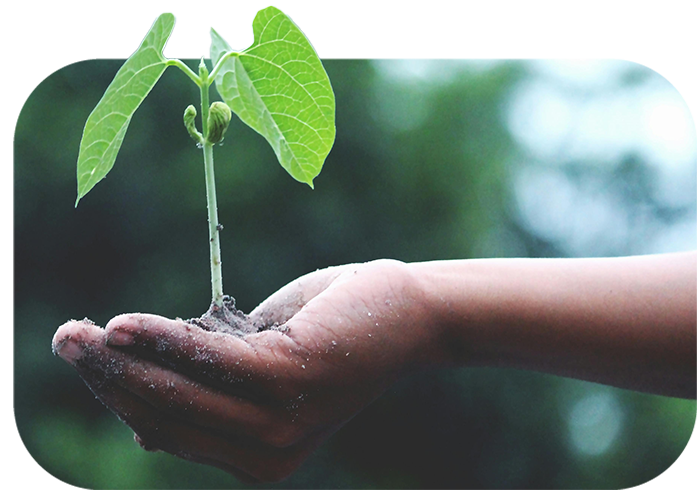 Economy illustration